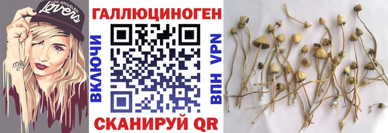 Галлюциногенные грибы MAGIC MUSHROOMS  Маркс 